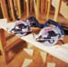 Bosch Worm Drives_02